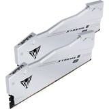 Patriot VX548G9646CK, Memoria argento