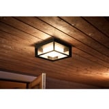 Philips White & Color Ambiance Econic Outdoor applique da parete quadrata, Luce LED Nero