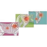 Schleich HORSE CLUB 42704 set da gioco,  veicolo da gioco Animale, Horses, 5 anno/i, Multicolore