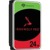 Seagate ST24000NT002, Hard-disk 