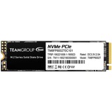 Team Group TM8FP6002T0C101, Disco a stato solido 