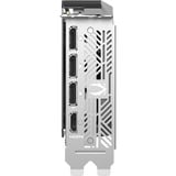 ZOTAC ZT-B50700H-10P, Scheda grafica 