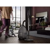 AEG ANIMAL 8000 AB81A2DG, Aspirapolvere grigio