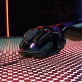 CHERRY MC 2.1 mouse Mano destra USB tipo A 5000 DPI, Mouse da gioco Nero, Mano destra, USB tipo A, 5000 DPI, Nero