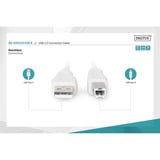 Digitus Cavo di collegamento USB 2.0 USB-A (spina) > USB-B (spina) beige