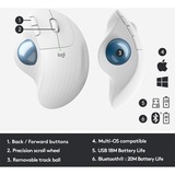 Logitech ERGO M575 for Business mouse Mano destra RF senza fili + Bluetooth Trackball 2000 DPI grigio chiaro/Blu, Mano destra, Trackball, RF senza fili + Bluetooth, 2000 DPI, Bianco