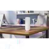 Netgear RBE372-100EUS, Punto di accesso bianco