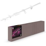 Philips Hue Philips Hue White and Color Ambiance Perifo set con 4 cilindri a sospensione Smart Bianco, Lampada bianco, Philips Hue White and Color ambiance Perifo set con 4 cilindri a sospensione Smart Bianco, Faretto per illuminazione ferroviaria, LED, 6500 K, 220 - 240 V, Bianco