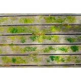 Ryobi RY18PCB-0, Detergente per pavimenti duri verde/Nero