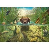 Schmidt Spiele Mark Fredrickson: Amore per i cani - labrador marrone nell'acqua fresca, Puzzle 
