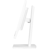 iiyama XUB2497HSN-W2, Monitor LED bianco (matto)
