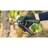Bosch EasyPrune, 06008B2102, Cesoie da giardino verde/Nero