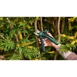 Bosch Forbici da giardino a batteria EasyPrune Classic, 3,6 Volt, Cesoie da giardino verde/Nero