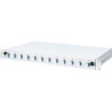 Digitus Scatola di giunzione fibra ottica, equipaggiata, LC, OS2 grigio