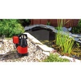 EINHELL Pompa per acqua sporca GC-DP 3325, Pompe immersione e pressione rosso/Nero