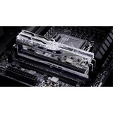 G.Skill F5-7200J3646F24GX2-TR5S argento