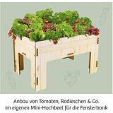 KOSMOS La mia prima fattoria, Casella di esperimento 