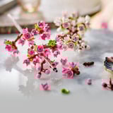 LEGO Botanicals 40725 Fiori di Ciliegio, Set per Adulti, Bambine e Bambini da 8+, Regalo Collezione Botanica per Donna o Uomo, Giochi di costruzione Set per Adulti, Bambine e Bambini da 8+, Regalo Collezione Botanica per Donna o Uomo, Set da costruzione, 8 anno/i, Plastica, 430 pz, 178 g