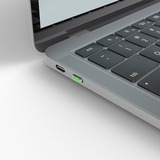 Lindy 40438 clip sicura USB tipo-C Verde 10 pz, Sicurezza verde, USB tipo-C, Verde, 10 pz, 10 g