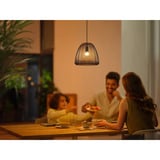 Philips Hue 929003573701, Lampada a LED 