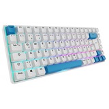 Sharkoon SKILLER SGK50 S3 PBT bianco/Blu chiaro