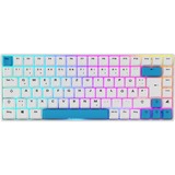 Sharkoon SKILLER SGK50 S3 PBT bianco/Blu chiaro