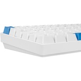 Sharkoon SKILLER SGK50 S3 PBT bianco/Blu chiaro