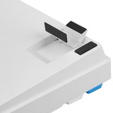 Sharkoon SKILLER SGK50 S3 PBT, Tastiera da gioco bianco/Blu chiaro