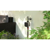 eve 10ECC8101, Controllo irrigazione Nero/Argento