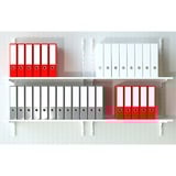 fischer Tassello SX Plus 6x30 PH TX grigio chiaro