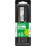 ADATA DIMM 48 GB DDR5-5600, Memoria 
