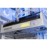 ALTERNATE ALT-ICUECS-INT-002 bianco/trasparente