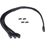 Alphacool 18538 parte e accessorio del sistema di raffreddamento del computer Cavo splitter RGB, Cavo a Y Nero, Cavo splitter RGB, Nero, Femmina, Femmina