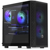 ENDORFY Signum M30 ARGB, Chassis Tower Nero
