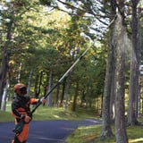 Makita Potatore telescopico a batteria UA004GZ XGT, 40 Volt blu/Nero