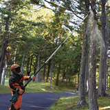 Makita UA004GZ, Potatore blu/Nero