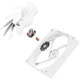 NZXT F140Q, Ventola bianco