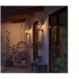 Philips Hue 929003098901, Luce LED Nero