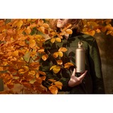 SIGG 6003.50, Bottiglia di acqua marrone