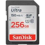 SanDisk SDSDUNC-256G-GN6IN Nero