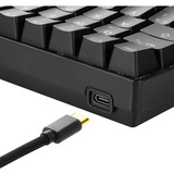 Sharkoon SGK50 S4 tastiera USB QWERTY Spagnolo Nero, Tastiera da gioco Nero, 60%, USB, QWERTY, LED RGB, Nero