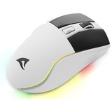 Sharkoon SKILLER SGM50W, Mouse da gioco bianco