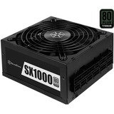 SilverStone SX1000 alimentatore per computer 1000 W 24-pin ATX SFX-L Nero Nero, 1000 W, 90 - 264 V, 47 - 63 Hz, Attivo, 125 W, 999,6 W