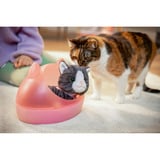 ZAPF Creation My Cat Cookie with Box, Accessori della bambola BABY born My Cat Cookie with Box, Animale domestico per bambola, 3 anno/i, Batterie richieste