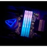 ADATA LANCER BLADE RGB memoria 16 GB 1 x 16 GB DDR5 6000 MT/s 288-pin DIMM Nero, 16 GB, 1 x 16 GB, DDR5, 6000 MHz, 288-pin DIMM, Nero