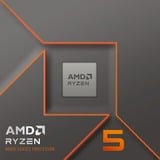 AMD Ryzen™ 5 8400F, Processore boxed