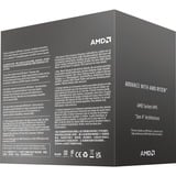 AMD Ryzen™ 5 8400F, Processore boxed