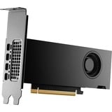 PNY NVIDIA RTX 2000 Ada Generation 16GB PB, Scheda grafica 
