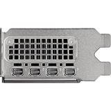 PNY VCNRTX2000ADA-SB, Scheda grafica 