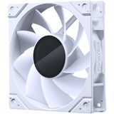Phanteks PH-F120M25R_G2_DWT01 bianco